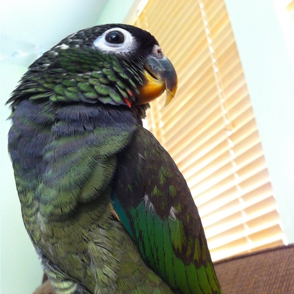 Meet your Posher, Jennifer - Picture 1 of 1